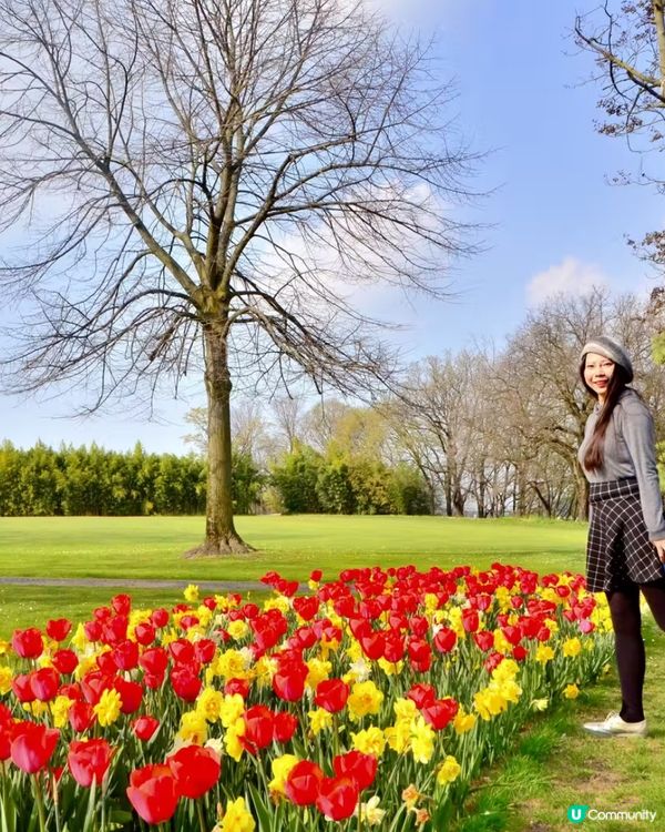 是鬱金香的季節!春日就是要去賞花,遠離一下城市,走近大自然!...