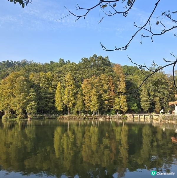 深圳仙湖植物公園