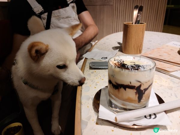 🐶：汪！我爸媽話呢間好味，食得好開心...搞到我都心思思都想...