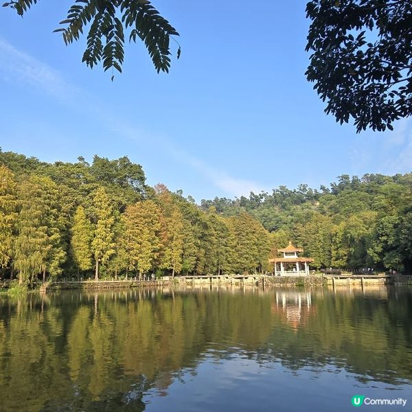 深圳仙湖植物園