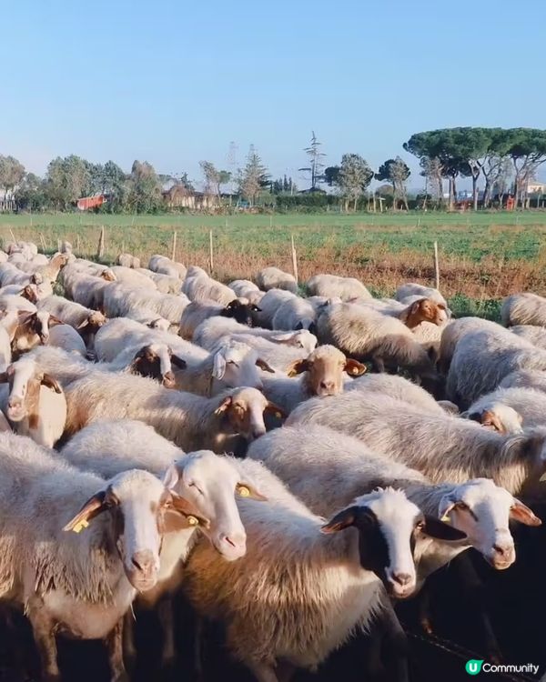 羅馬引水道古蹟~藏着2000多年歷史｡
