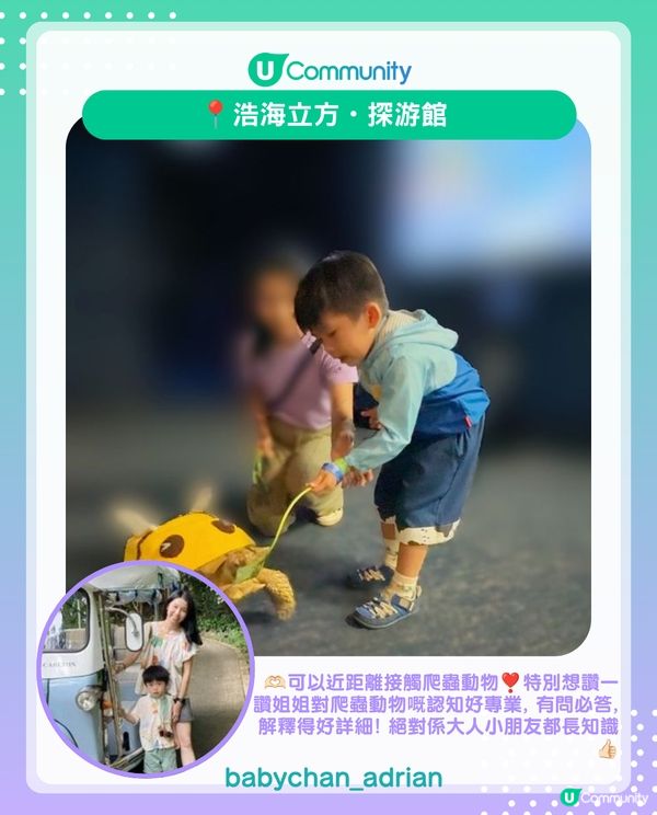 港媽實測新界區10間4星評分⭐+室內親子好去處 睇動物、MR互動體驗同Playhouse都包辦😚