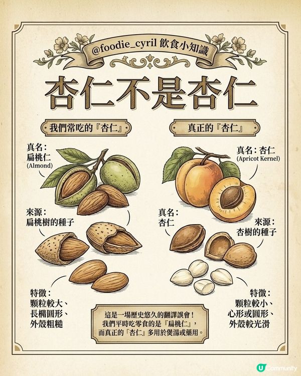 原來我哋一直😋食嘅「杏仁」🥜根本唔係杏仁🧐？！
