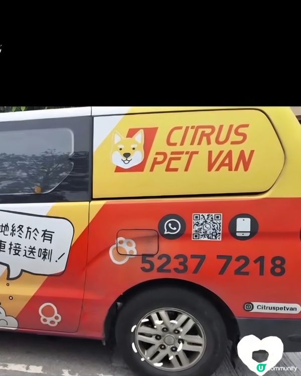橘子接寵物🐾 專車勁寬敞！