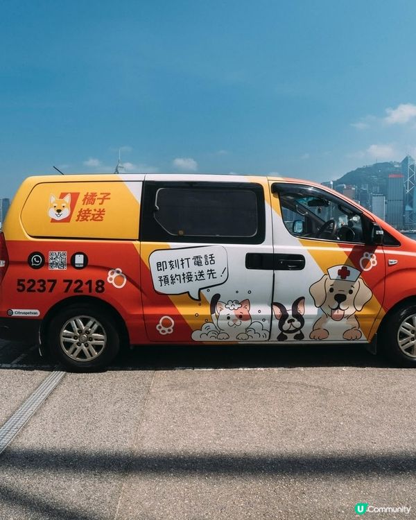 橘子接寵物🐾 專車勁寬敞！