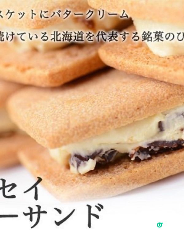 六花亭 蘭姆葡萄奶油夾心餅乾