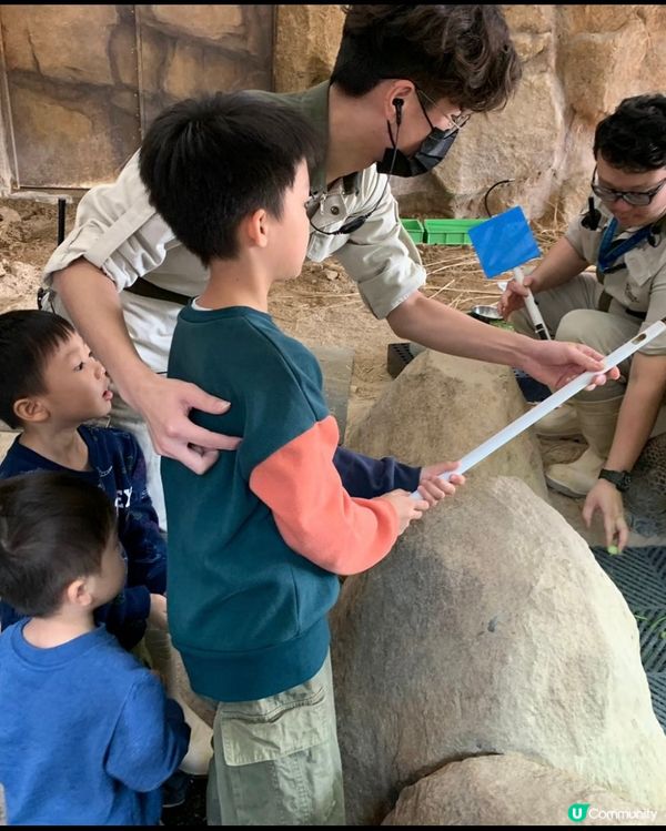 【 海洋公園推介活動!超近距離親餵大象龜 】