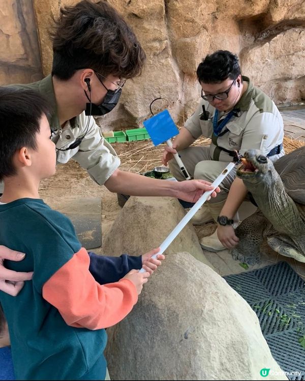 【 海洋公園推介活動!超近距離親餵大象龜 】