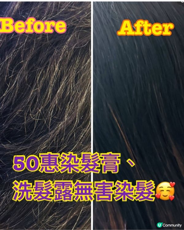 無害染髮💗勁易上色💗50惠天然海藻染髮