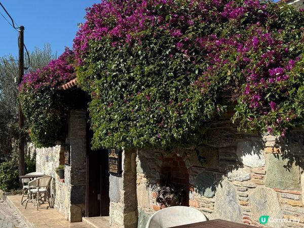 遠離繁囂的小鎮-土耳其塞爾丘克Selcuk