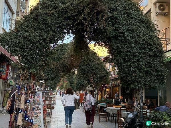 遠離繁囂的小鎮-土耳其塞爾丘克Selcuk