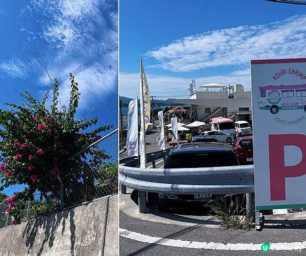 [旅遊] 沖繩一日租車自駕遊古宇利跨海大橋、 Heart Rock心型岩、Shrimp Wagon蝦飯