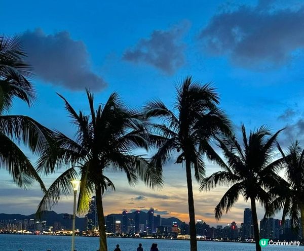 珠海，我諗我哋應該坐喺度發呆