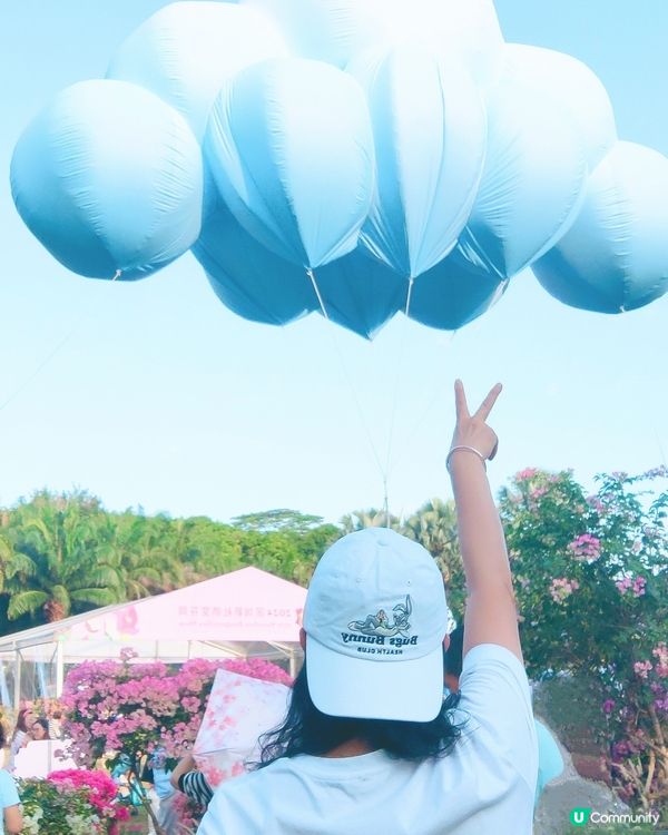 🌸我愛花花🌸之🌷9-17/11.24簕杜鵑賞花週🌷