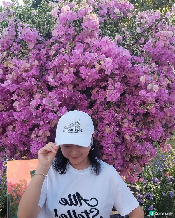 🌸我愛花花🌸之🌷9-17/11.24簕杜鵑賞花週🌷