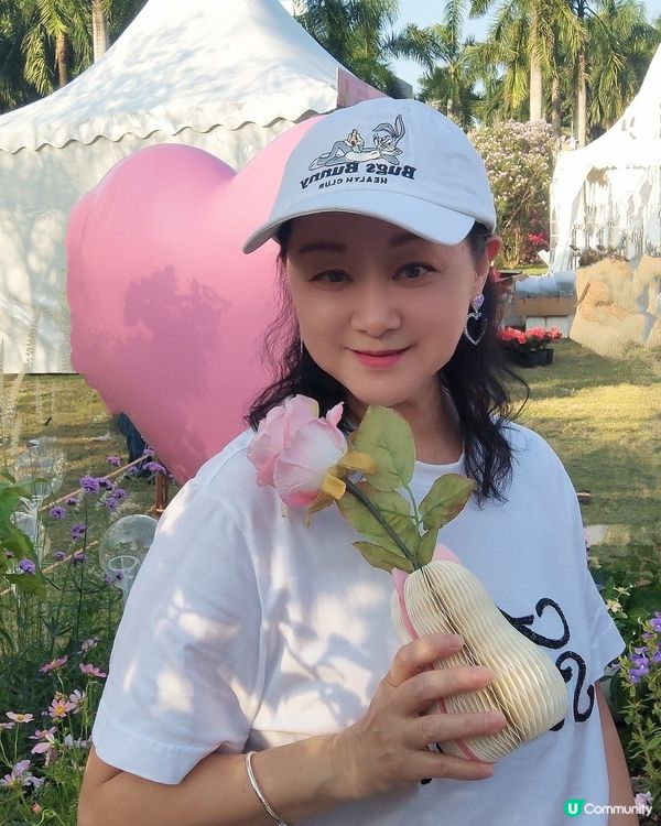 🌸我愛花花🌸之🌷9-17/11.24簕杜鵑賞花週🌷