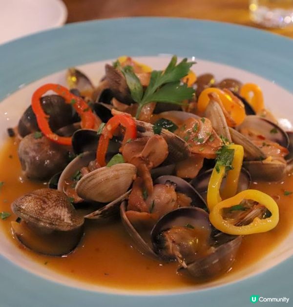 主餐牌8折優惠！