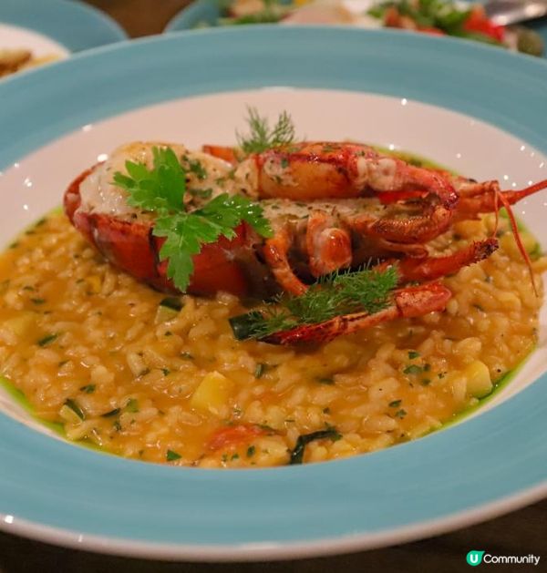 主餐牌8折優惠！