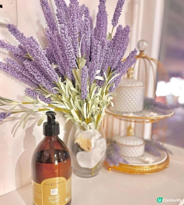 銅鑼灣。鬧市中的寧靜享受