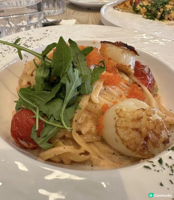 香港首間刺蝟主題cafe🦔