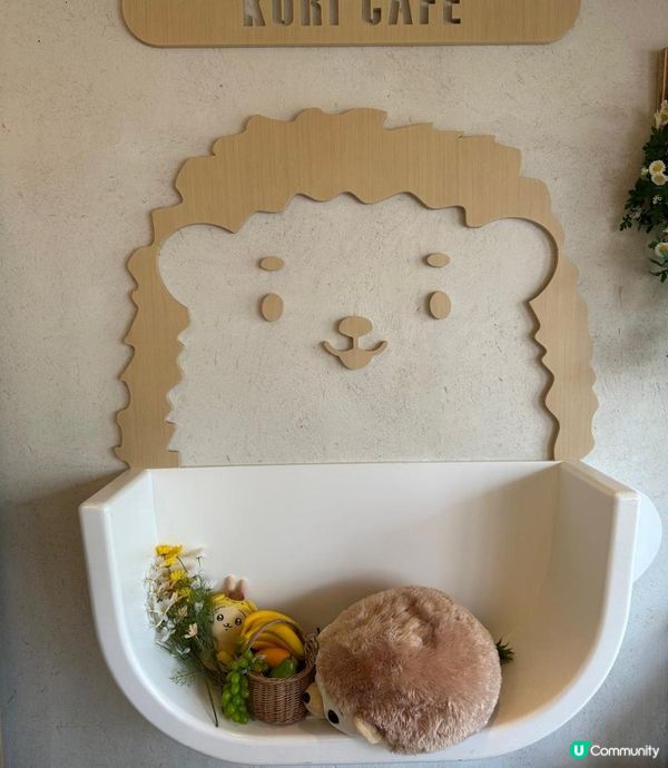 香港首間刺蝟主題cafe🦔