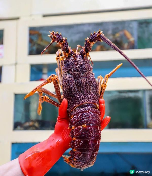 食餐好、食餐勁、食餐豪！