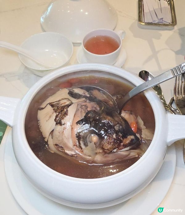 團年飯系列 X 坐得舒適 X 食得出色 @ 中庭 ( 灣仔會議展覽中心 )