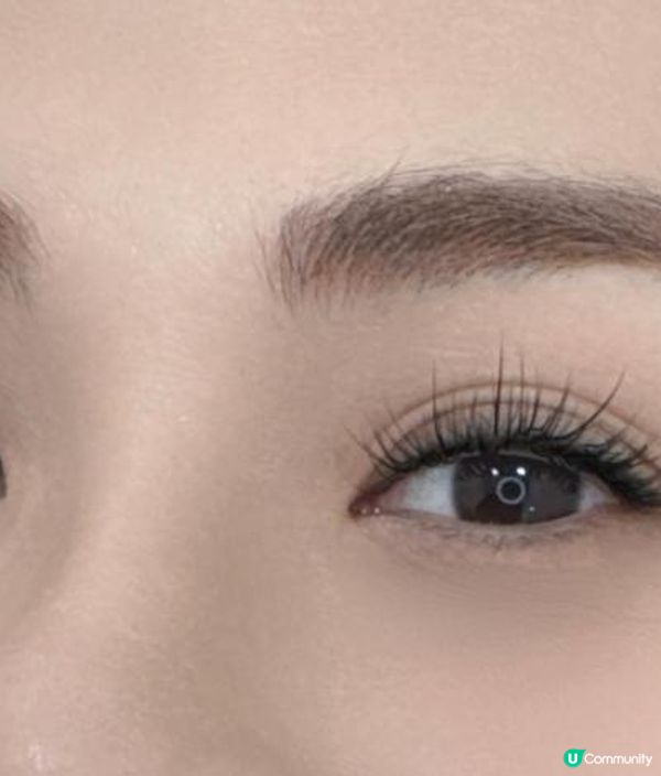 真人實測｜角蛋白vs植眼睫毛價錢香港2024