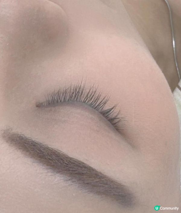 真人實測｜角蛋白vs植眼睫毛價錢香港2024