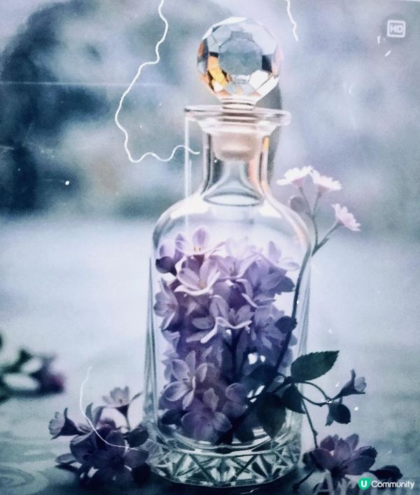 《魔藥》290