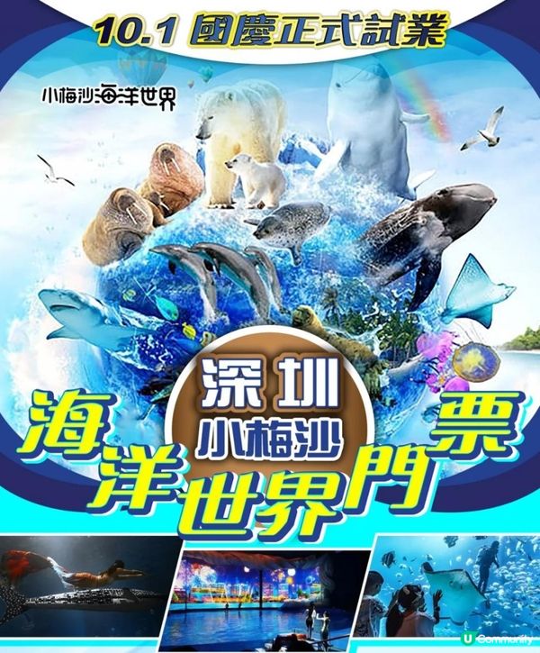 深圳最大「小梅沙新海洋世界」現正試業🎈