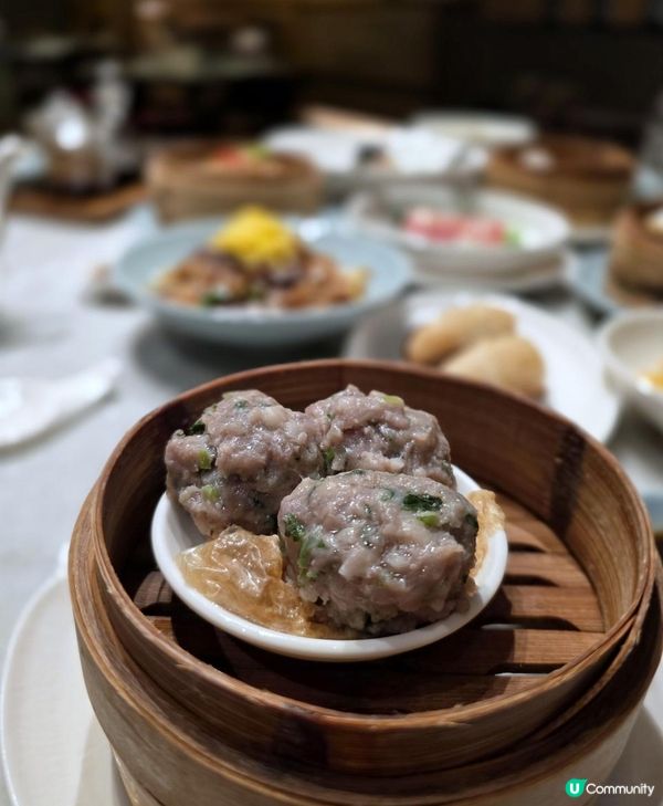 ￥208 酒店點心放題 @ 享悅 ( 橫琴凱悅酒店 )