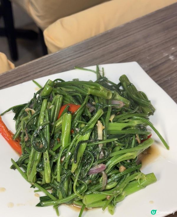 🐷九龍城泰式美食！「泰象館」平價又正宗，海南雞飯、濕炒河必試！🇹🇭