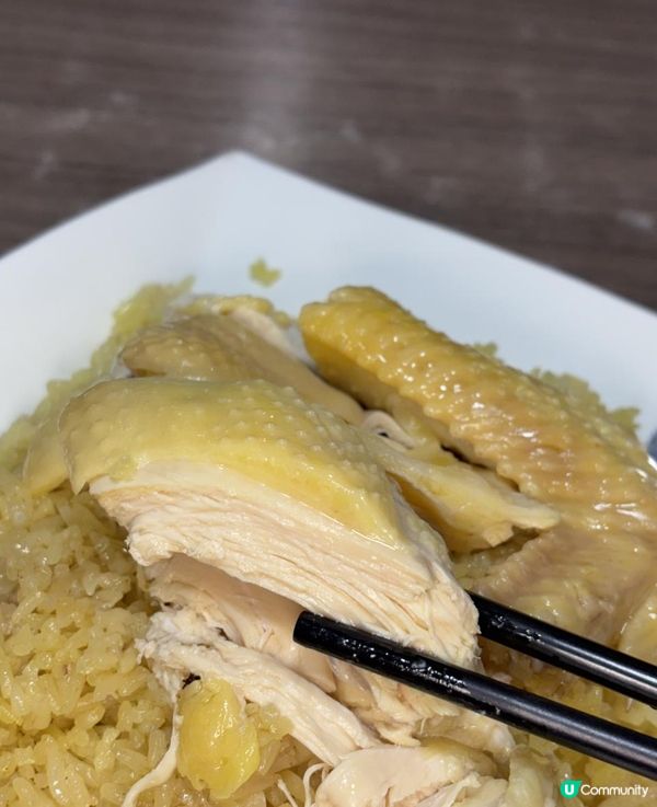 🐷九龍城泰式美食！「泰象館」平價又正宗，海南雞飯、濕炒河必試！🇹🇭