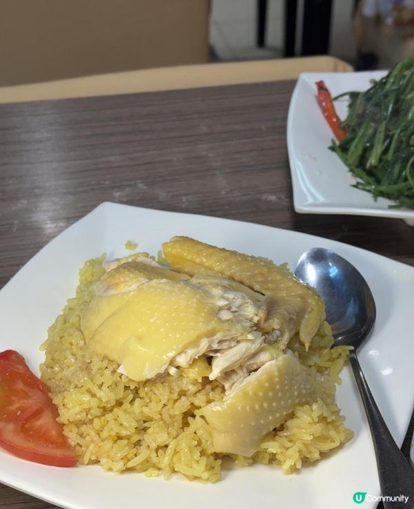 🐷九龍城泰式美食！「泰象館」平價又正宗，海南雞飯、濕炒河必試！🇹🇭