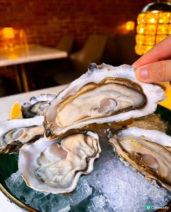 So Bar x 尖沙咀美食 | 即開生蠔限定抵食海鮮拼盤 南洋格調餐吧 | Bar/蘇媽蘇媽/咖央炸饅頭/龍蝦/Pizza/酒吧/咖央多士