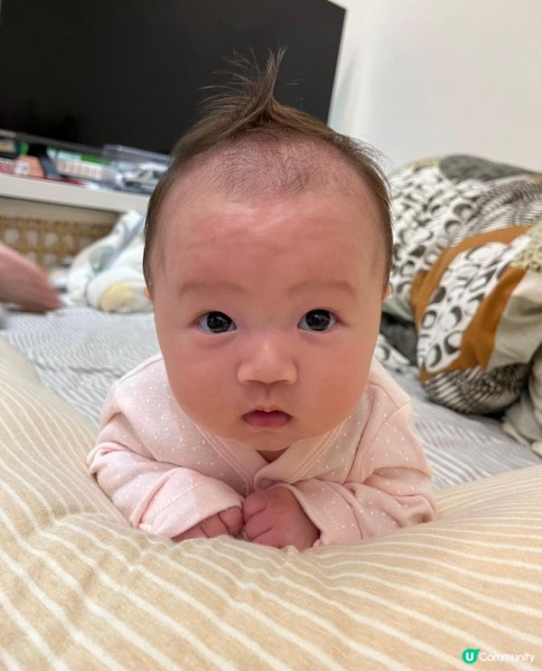 🇲🇫Biolane法國貝兒🧼🫧🧴 還我靚靚頭💫