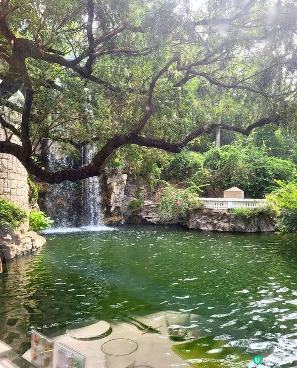 瀑林園林相伴😚金鐘香港公園湖畔餐廳Pondside😚打卡下午茶