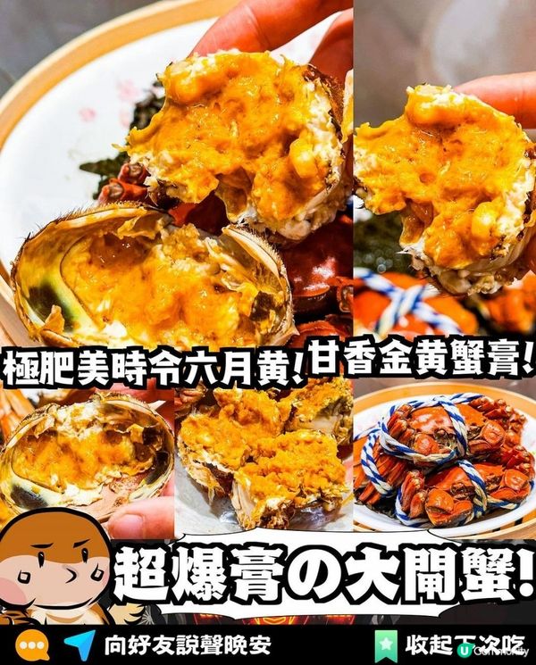 日新 x 外賣美食 | 隻隻飽滿黃金蟹膏 時令六月黃大閘蟹 | 預訂/推薦/2023/外送/Delivery/海產/海鮮/網上/鹽焗/免費送貨