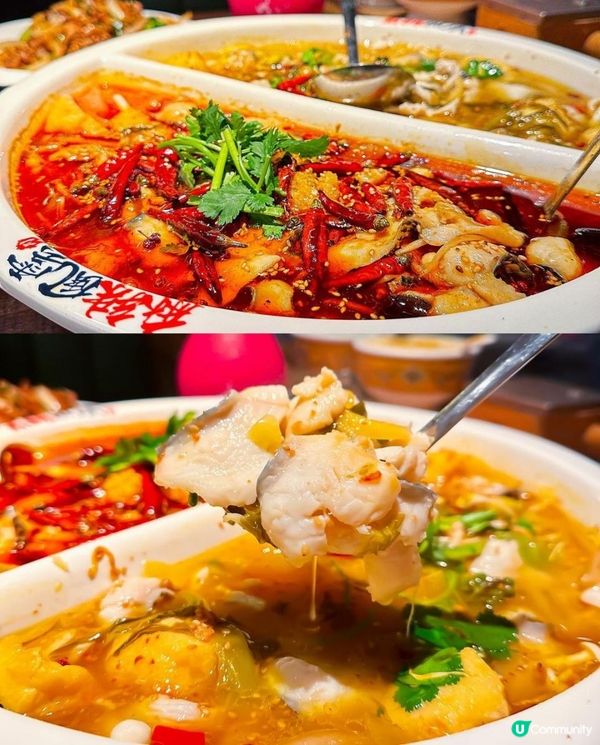 麻辣風雲x旺角美食 | 太極鴛鴦酸菜水煮嫩魚 爆蒜惹味小龍蝦 | 銅鑼灣/荃灣/價錢/Menu/酸菜魚/炸饅頭/優惠/甜品/分店