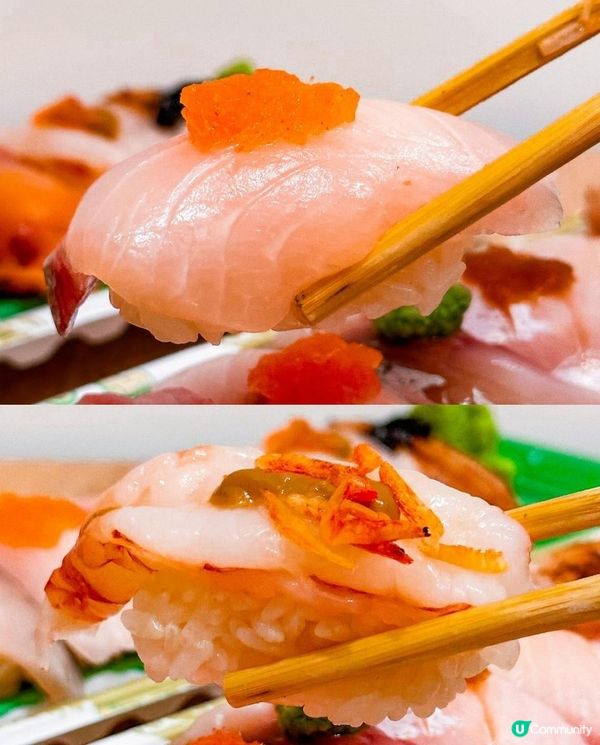 米芝蓮壽司師傅平民價錢高質壽司🍣長期榜首小店食稀有魚料 | 旺角 | 日式料理/刺身/日本菜/外賣/抵食/推薦/掃街/Sushi