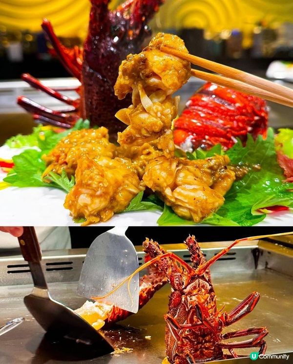 螢火 x 尖沙咀美食 | 抵食足料活澳洲龍蝦鐵板燒 霸氣火焰清酒煮蜆 | teppanyaki/omakase/驚喜餐廳/情侶/包場/慶祝