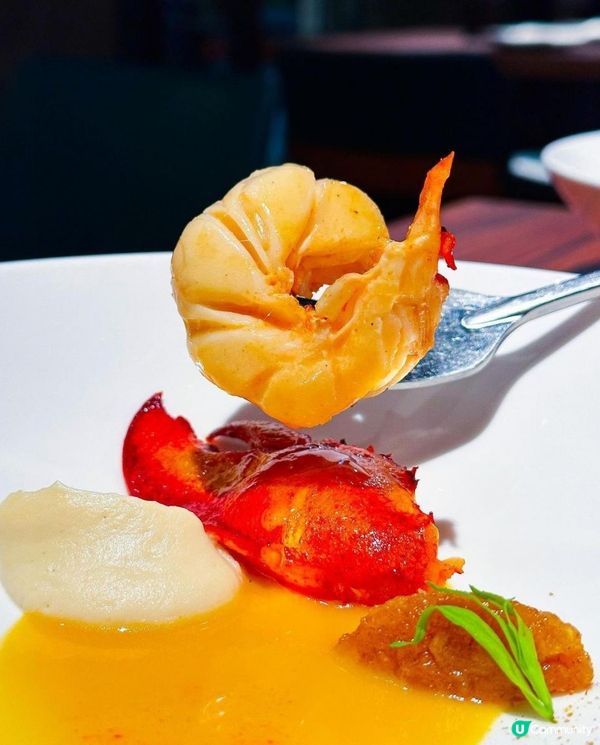 Double Dip x 元朗美食 | 多層次鵝肝黑松露醬威靈頓牛柳 粉嫩法國鴿肉 | 西餐/Set Dinner/海鮮/龍蝦/特別/Menu/價錢