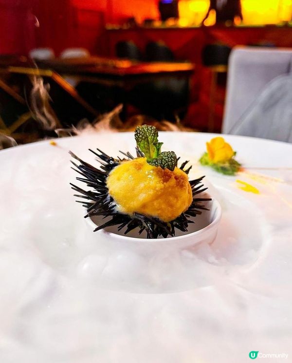 L'amour x 大埔美食 | 隱世前文華東方主廚分子法菜 原隻海膽雪糕 | 和牛/西餐/慶祝/情人節/酒吧/紀念/浪漫/情侶