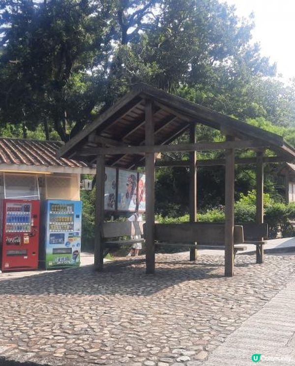 【金山郊野公園行山篇】連走四水塘➕金山及山火瞭望台