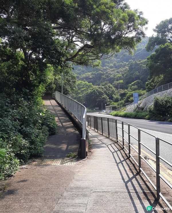 【金山郊野公園行山篇】連走四水塘➕金山及山火瞭望台