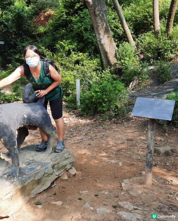 【金山郊野公園行山篇】連走四水塘➕金山及山火瞭望台