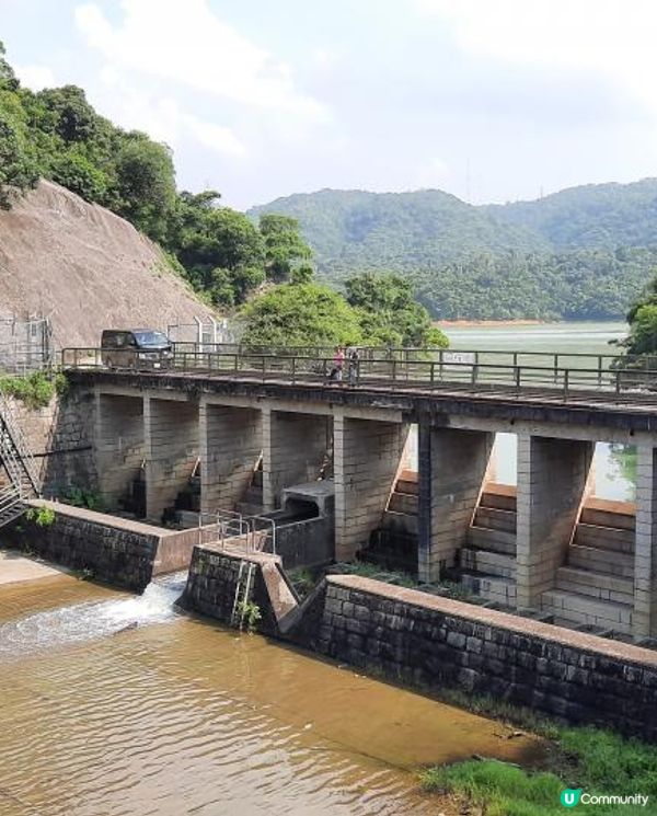 【金山郊野公園行山篇】連走四水塘➕金山及山火瞭望台