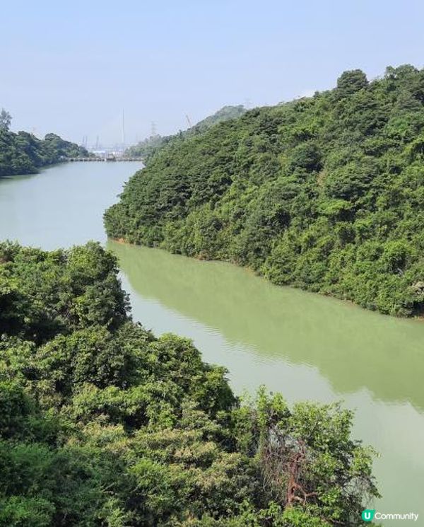 【金山郊野公園行山篇】連走四水塘➕金山及山火瞭望台