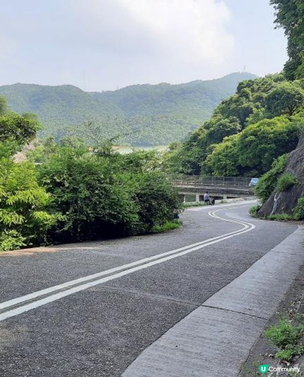 【金山郊野公園行山篇】連走四水塘➕金山及山火瞭望台